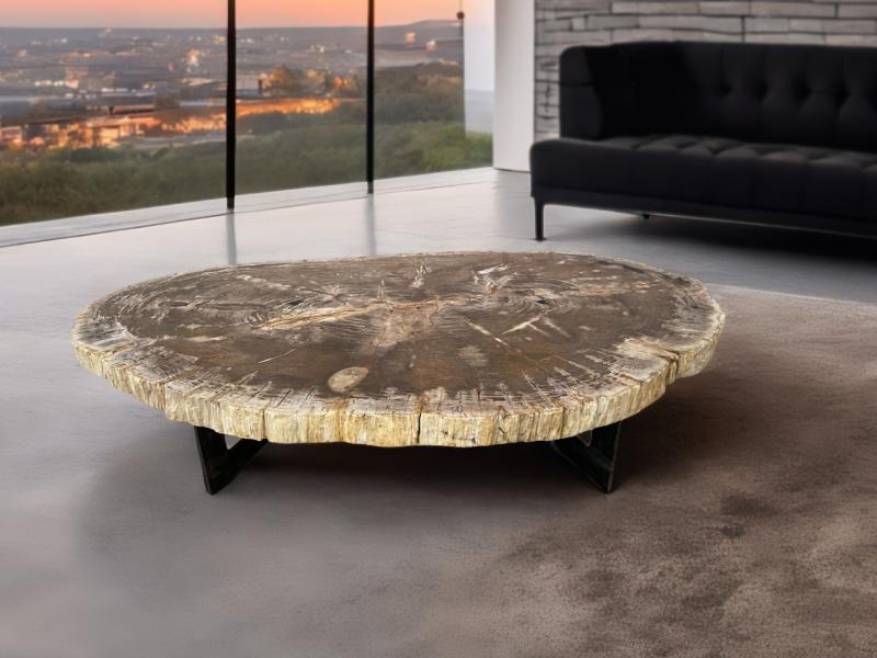 COFFEE TABLE OF PETRIFIED TREE TRUNK MOOREA