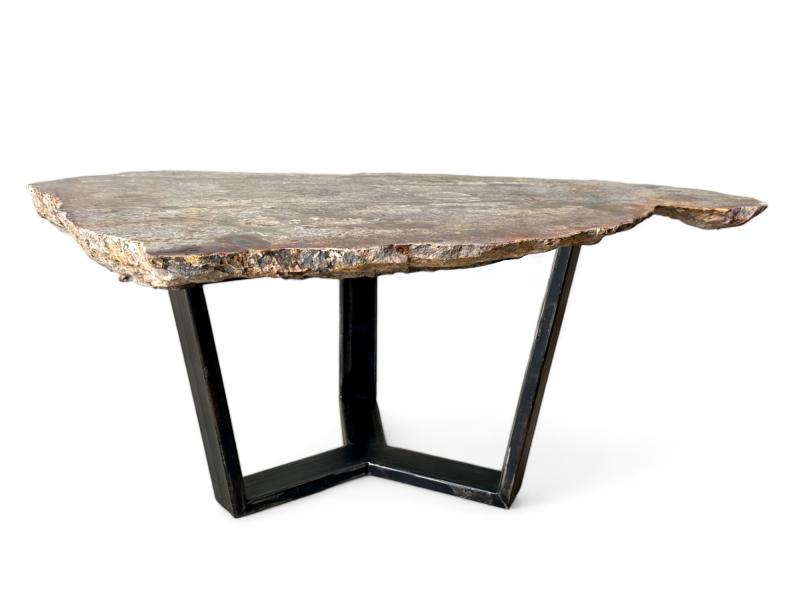 Buy Petrified wood table Shanti