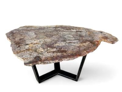 Buy Petrified wood table Shanti