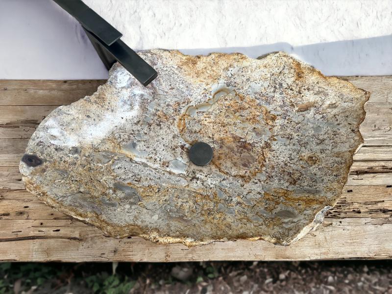 EXCLUSIVE WHITE SINK IN PETRIFIED WOOD KLAUS