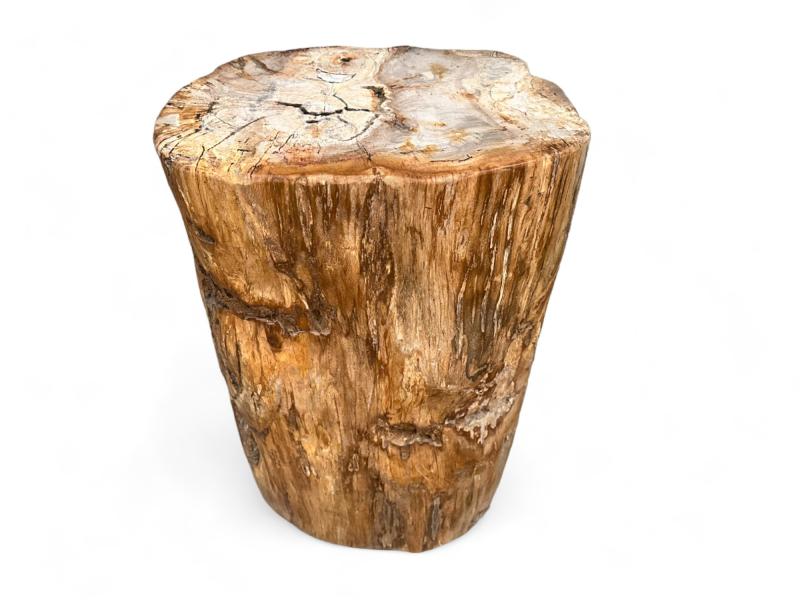 TABOURET EN BOIS PETRIFIE GIO