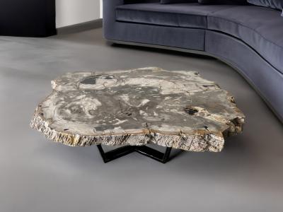 PETRIFIED WOOD COFFEE TABLE GRACE