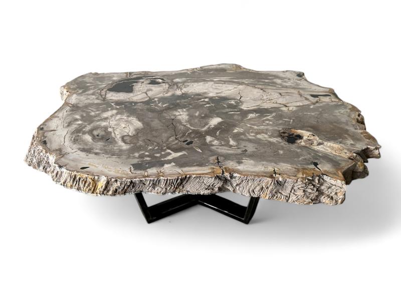 Table Basse Exclusive en Bois Petrifie Grace