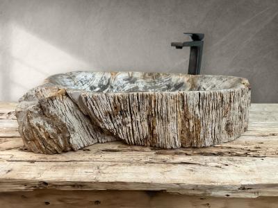 BUY PETRIFIED WOOD WASHBASIN MONTANA