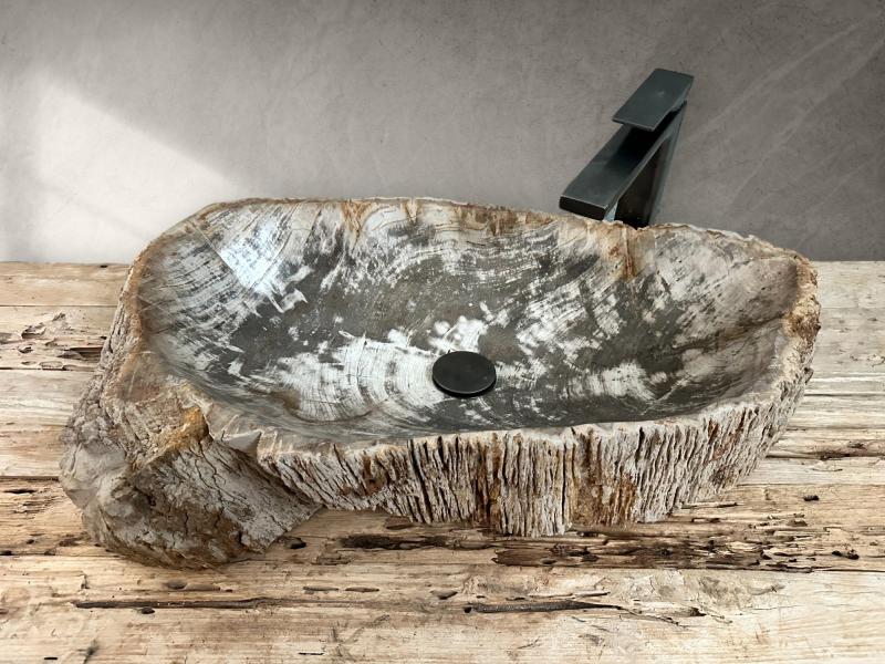 PETRIFIED WOOD WASHBASIN MONTANA