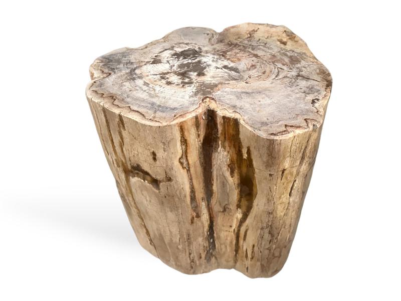 Hocker aus Versteinertem Holz Hamakua