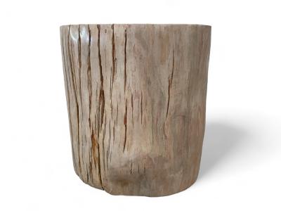 BUY FOSSIL WOOD STOOL WITH POLISHED FINISH LUX