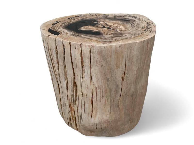 FOSSIL WOOD STOOL - LUX