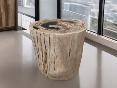 HOCKER AUS FOSSILEM HOLZ MIT POLIERTEM FINISH LUX