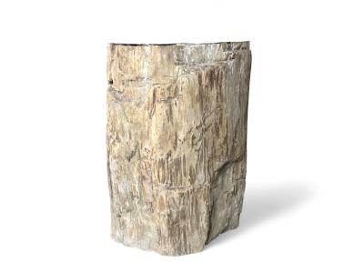 EXCLUSIF VASQUE SUR PIED BOIS PETRIFIE