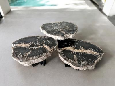 SET OF PETRIFIED WOOD COFFEE TABLES TESS