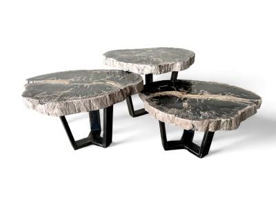 JEU DE TABLES BASSES EN BOIS PETRIFIE TESS