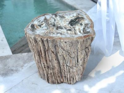 PETRIFIED WOOD SIDE TABLE BLANCHE