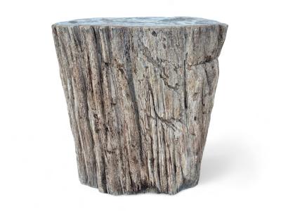 TABLE LATERALE EN BOIS PETRIFIE BLANCHE