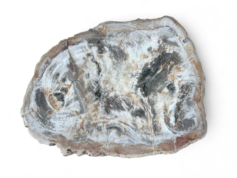 PETRIFIED WOODEN STOOL BLANCHE