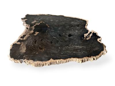 COFFEE TABLE IN PETRIFIED WOOD LUXOR