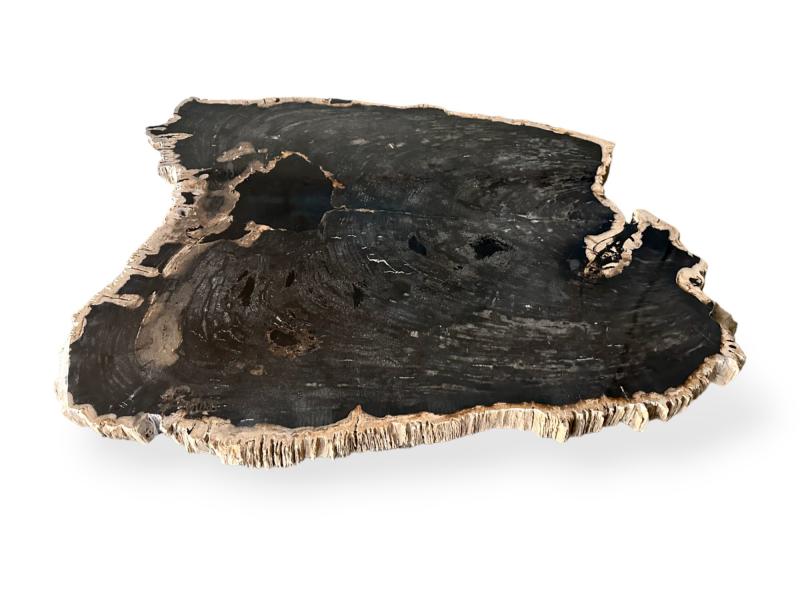 MESA DE CENTRO NEGRA DE MADERA PETRIFICADA LUXOR