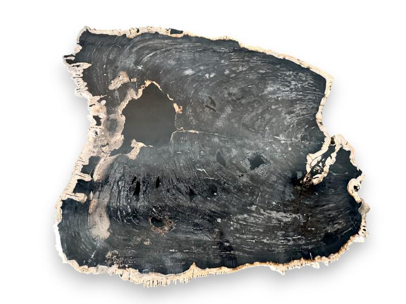 PETRIFIED WOOD COFFEE TABLE LUXOR