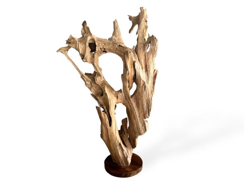 TEAK WOOD ORGANIC SCULPTURE CANCUN