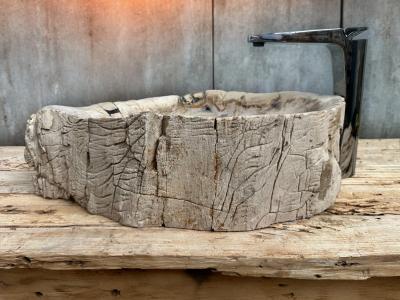 LUXURIOUS PETRIFIED WOOD SINK JOIA