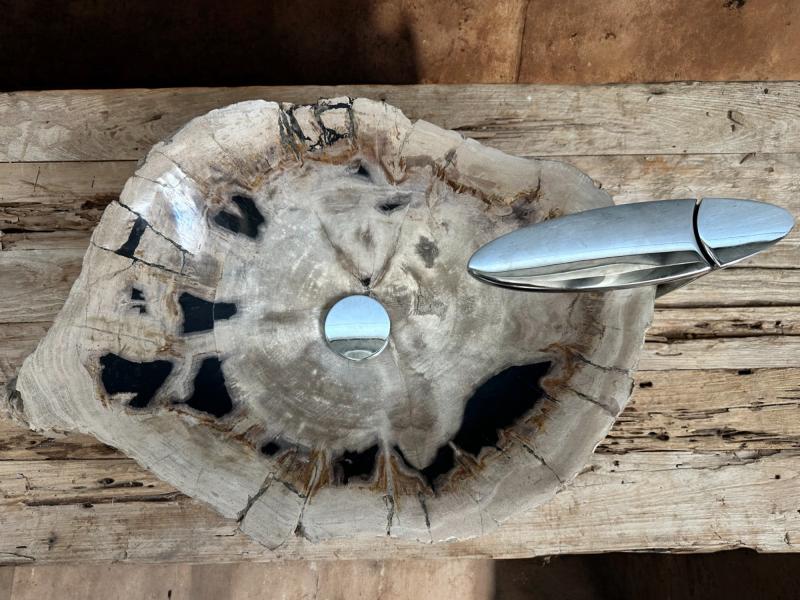 AMAZING PETRIFIED WOOD SINK JOIA