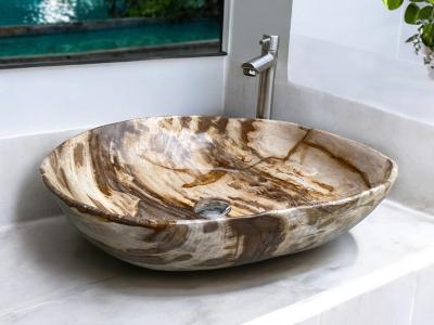 PETRIFIED WOOD SINK LIONEL