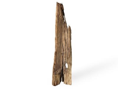 HOLZLAMPE KAUFEN