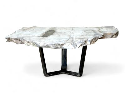 Acheter Table Basse en Bois Petrifie Vivien