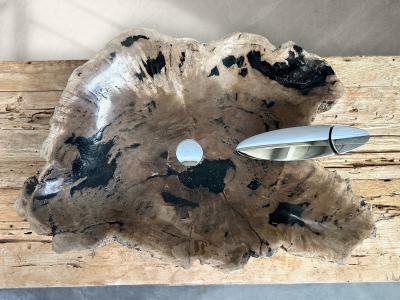 BUY PETRIFIED WOOD WASHBASIN AGANOA