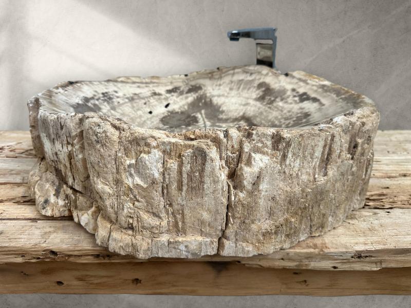 BUY PETRIFIED WOOD SINK MARION