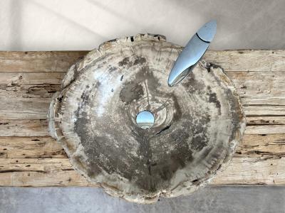 PETRIFIED WOOD WASHBASIN MARION