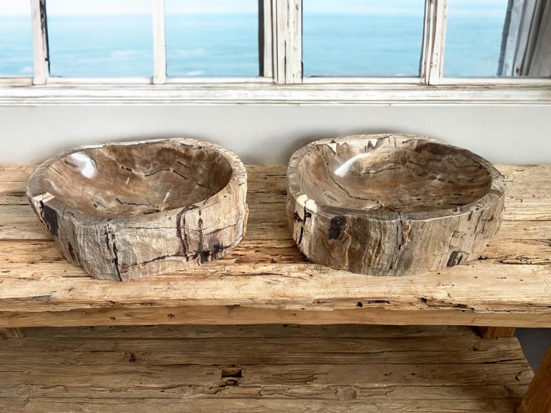 PAIR OF PETRIFIED WOOD WASHBASINS ANDREAS