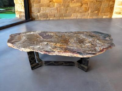 LONGUE TABLE BASSE EN BOIS PETRIFIE QUEEN