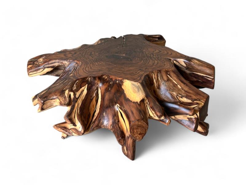 TROPICAL ROOT COFFEE TABLE KOREN