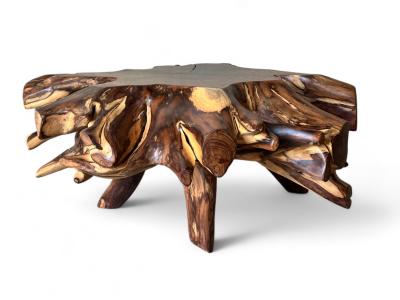 EXCLUSIVE ROOT COFFEE TABLE KOREN