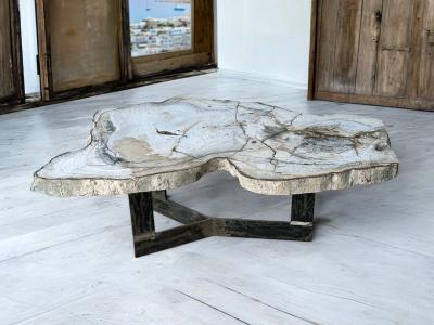 TABLE BASSE EN PIERRE FOSSILE NAPLES