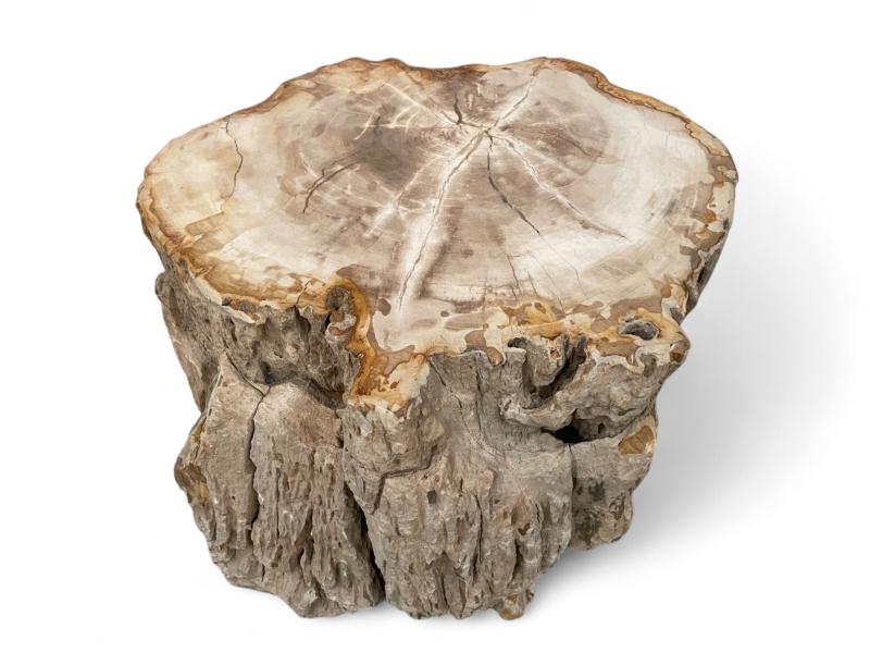 BEISTELLTISCH AUS VERSTEINERTEM HOLZ NETTUNO