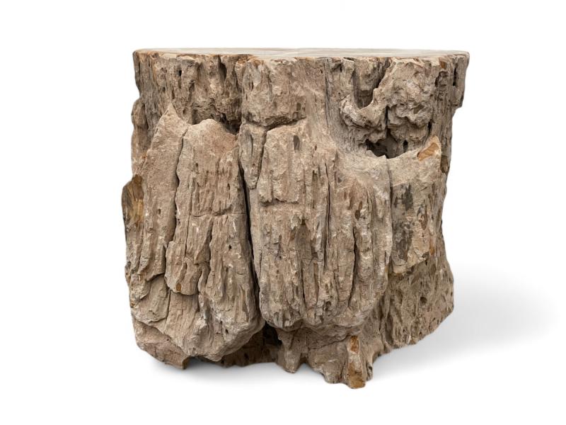 BUY PETRIFIED WOOD SIDE TABLE NETTUNO