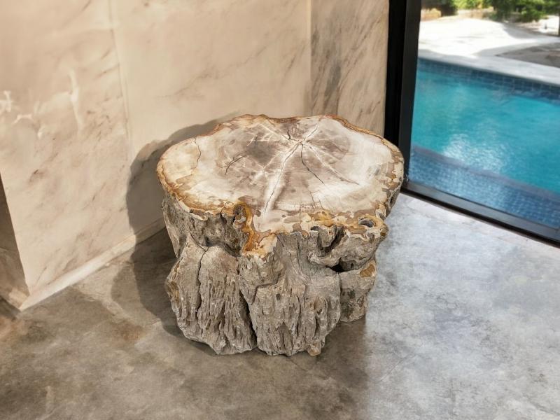 DECORATIVE TABLE IN PETRIFIED WOOD NETTUNO