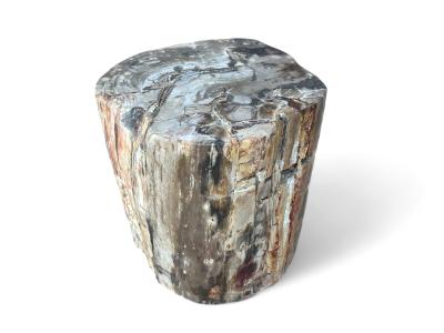 ACHETER TABLE D'APPOINT EN BOIS PETRIFIE HANOI