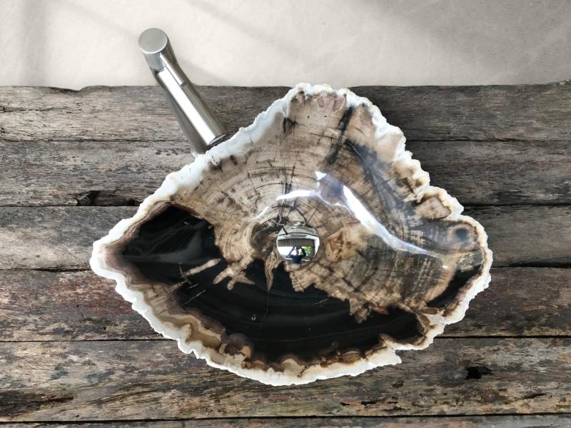 BUY PETRIFIED WOOD WASHBASIN FRANCIS