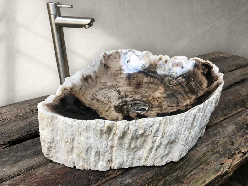 BUY PETRIFIED WOOD SINK FRANCIS