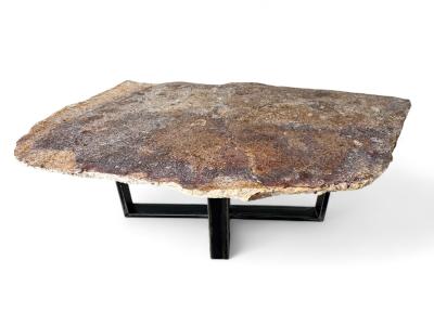 ACHETER LONGUE TABLE BASSE EN BOIS PETRIFIE QUEEN