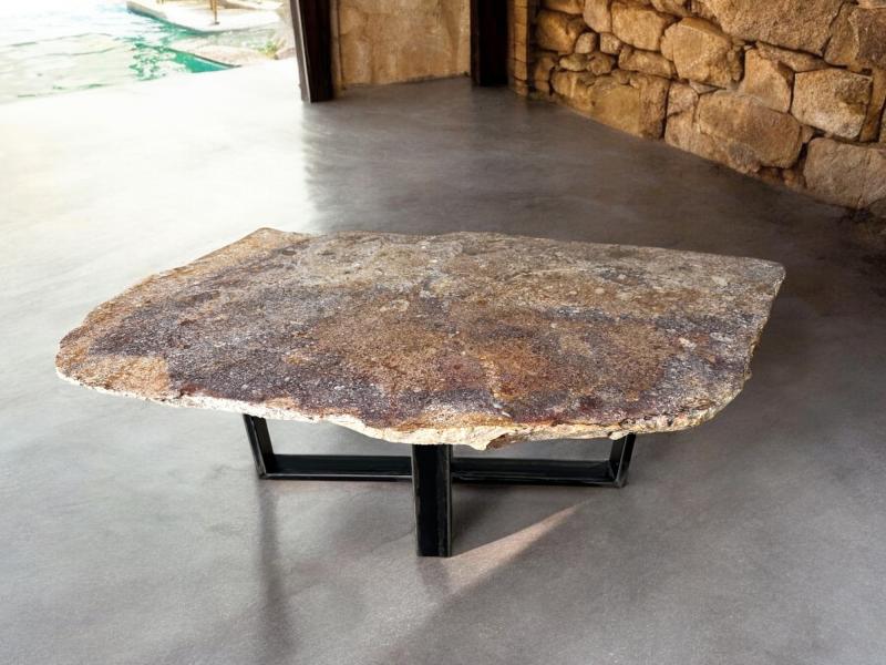 LONG PETRIFIED WOOD COFFEE TABLE QUEEN