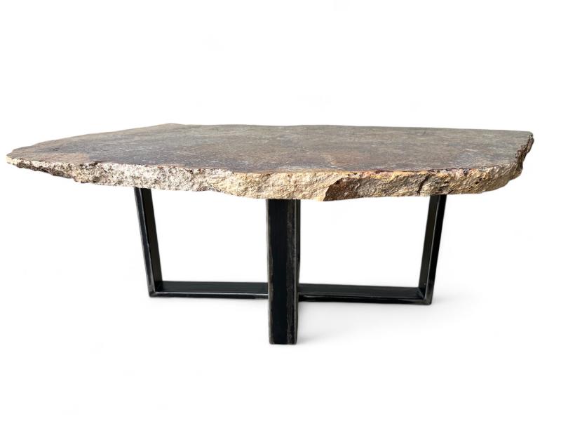 TABLE BASSE EN BOIS PETRIFIE QUEEN