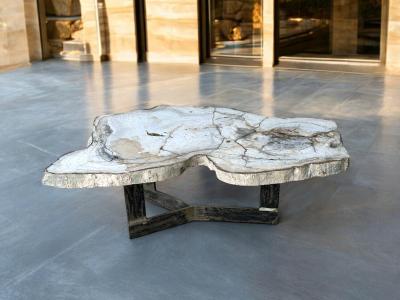 TABLE BASSE EN PIERRE FOSSILE NAPLES