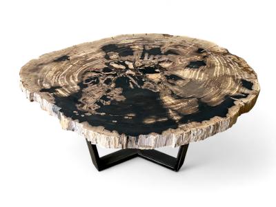 ACHETER TABLE BASSE EN BOIS PETRIFIE ATENEA