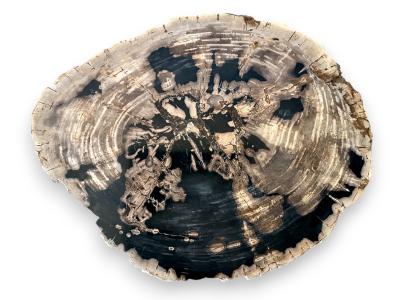 DETAIL OF PETRIFIED WOOD COFFEE TABLE ATENEA