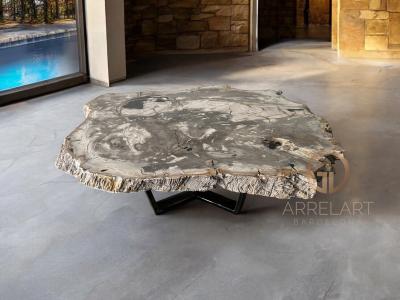 PETRIFIED WOOD COFFEE TABLE GRACE