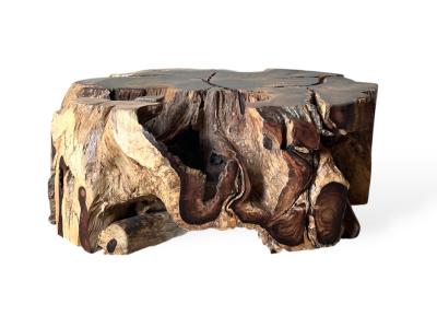 TABLE BASSE AVEC RACINE D'ARBRE KOREN